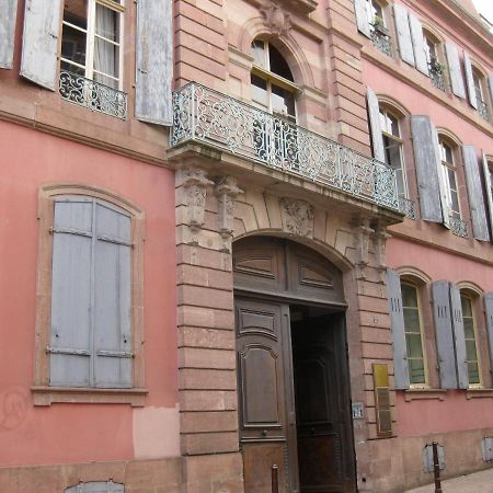 Appartement Le 22 - Colmar Centre Parking Privatif En Option Esterno foto